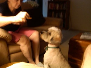 IMG00035-20090703-1729