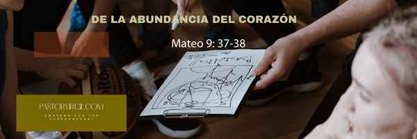 Necesitamos comentarios precisos